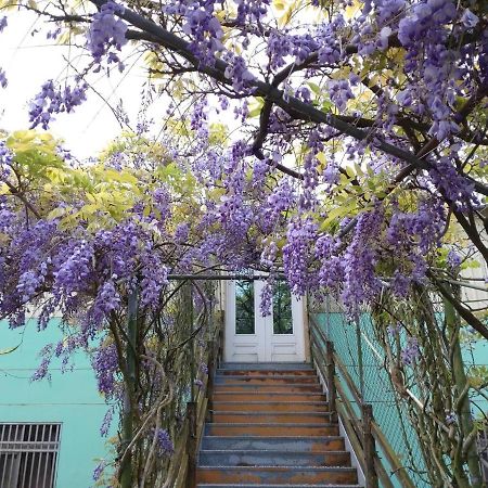Youlin Homestay Meishan Exteriör bild