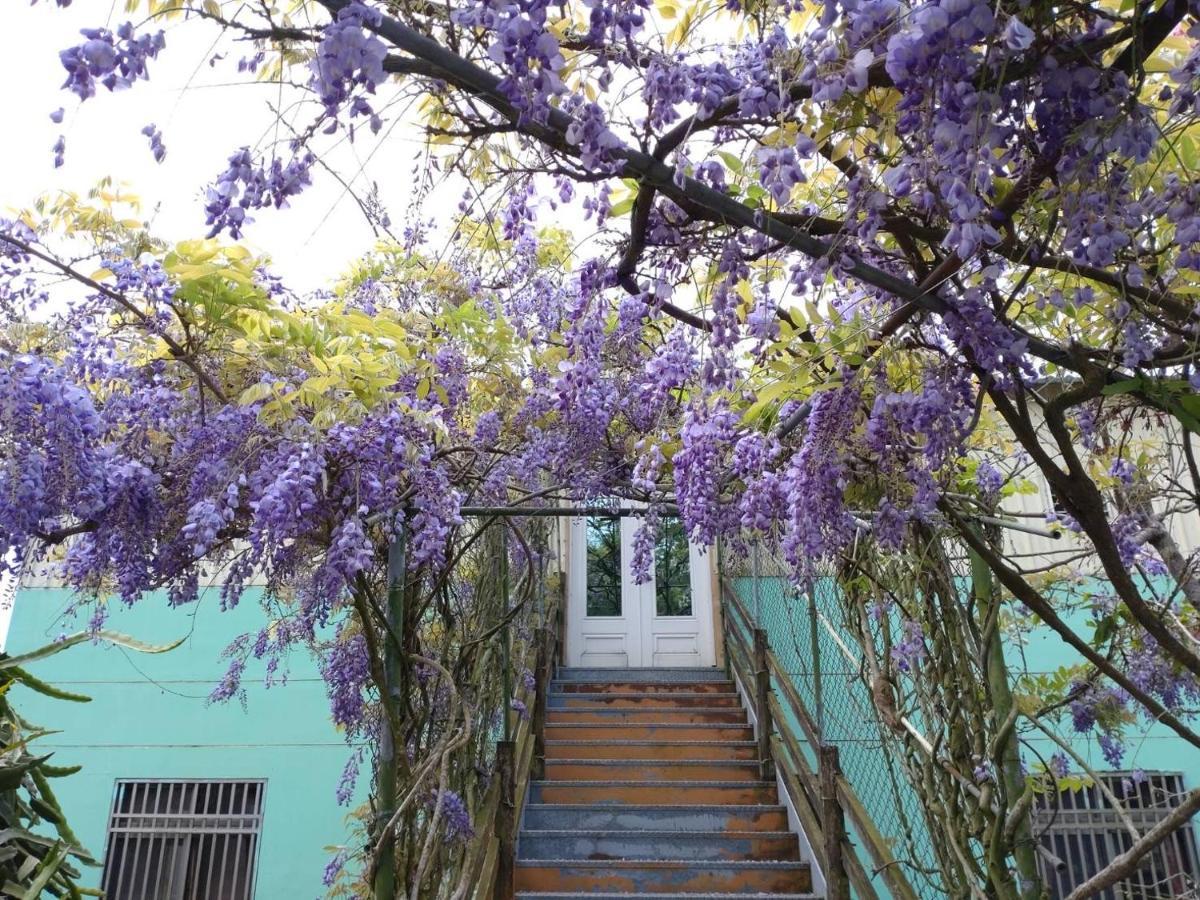Youlin Homestay Meishan Exteriör bild