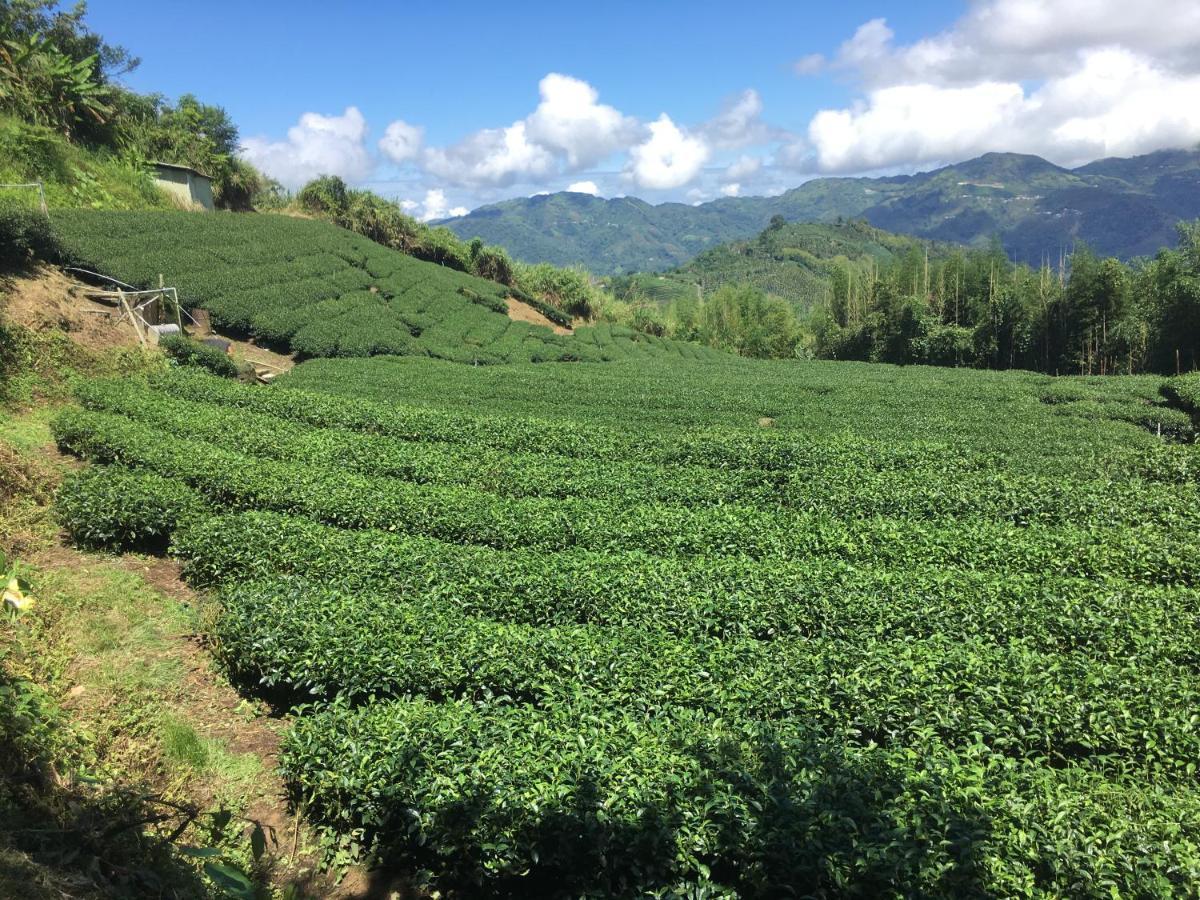 Youlin Homestay Meishan Exteriör bild
